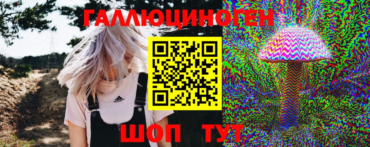 Железногорск  Псилоцибиновые грибы мухоморы  Вход с VPN 